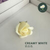 Creamy White