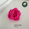 Rose Red 玫红