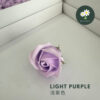 Light Purple