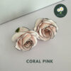 Coral Pink