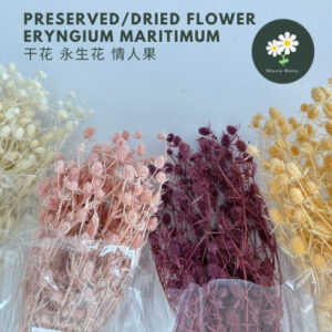 100g 永生花情人果花材DIY干花花束家居装饰 Eryngium Maritimum Dried Flower 干花 永生花 情人果