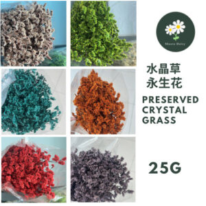 25g & 100g Preserved Crystal Grass Dried Dry Bouquet Flower Bunga Hiasan Rumah 水晶草永生花