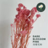 Dark Blossom Pink