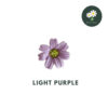 Light Purple