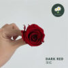 Dark Red 深红