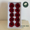 Dark Red 深红