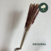 Original - 15pcs