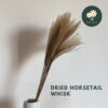 Horsetail Whisk-15pc