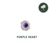 Purple Heart