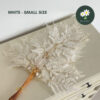 White - Small Size