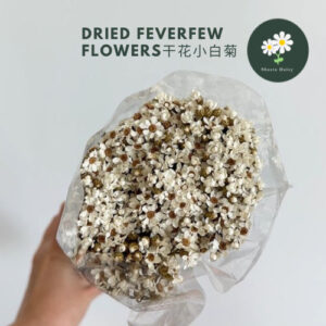 Dried flower DIY Literary Feverfew 干花小白菊