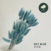 Sky Blue 天空蓝