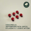 Coccinella 6pcs