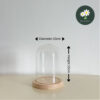 D:10CM X H15CM