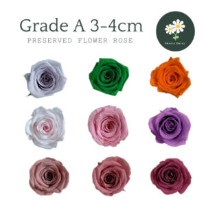 1PCS Grade A Preserved Flower Rose 3-4cm A级云南1朵永生玫瑰花头3-4cm