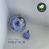 Winter: Violet Blue