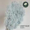 Light Blue 浅蓝色