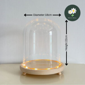 Big Size Glass Dome With Light Base 大号永生花玻璃罩发光底座 Preserved Flower Glass Dome with Light Base