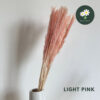 Light Pink - 15pcs