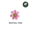 Neutral Pink