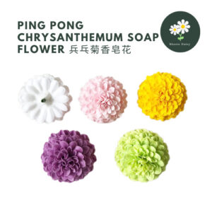 Ping Pong Chrysanthemum Soap Flower 半粒兵乓菊香皂花 Ping Pong Chrysanthemum Bunga Sabun