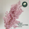 Light Purple Pink浅紫粉
