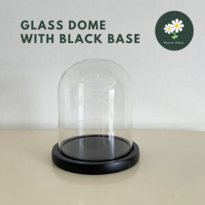 永生花玻璃罩无发光黑色底座 Preserved Flower Glass Dome With Black Base (Without Light)