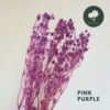 Pink Purple