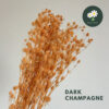 Dark Champagne