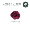 Dark Rose Red