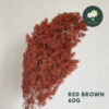 Red Brown - 60g Only