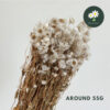 White 55g