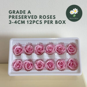 GRADE A Preserved Flower Rose 3-4cm 12 PCS Per BOX A级永生花玫瑰