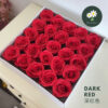 Dark Red 深红色