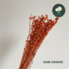 Dark Orange