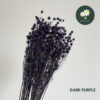 Dark Purple