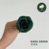 Dark Green 深绿色