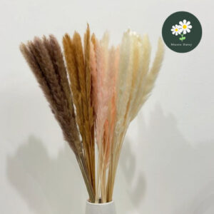Home Decoration Pampas Grass Small Reed Dried Flower Grass Reed 家居装饰干花束小芦苇简约拂尘干花花束 Pampas Daun Kering Untuk Hiasan Rumah