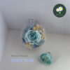 Winter: Light Blue