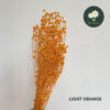 Light Orange 45g