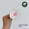 Light Pink 浅粉