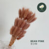Bean Pink 豆沙粉