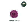Grape Purple