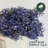 Light Blue Purple