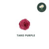 Taro Purple 香芋紫