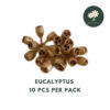 10 Pcs Eucalyptus