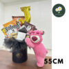 55cm