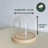 D:12CM X H12CM