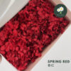 Spring Red 春红