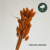 Vintage Orange